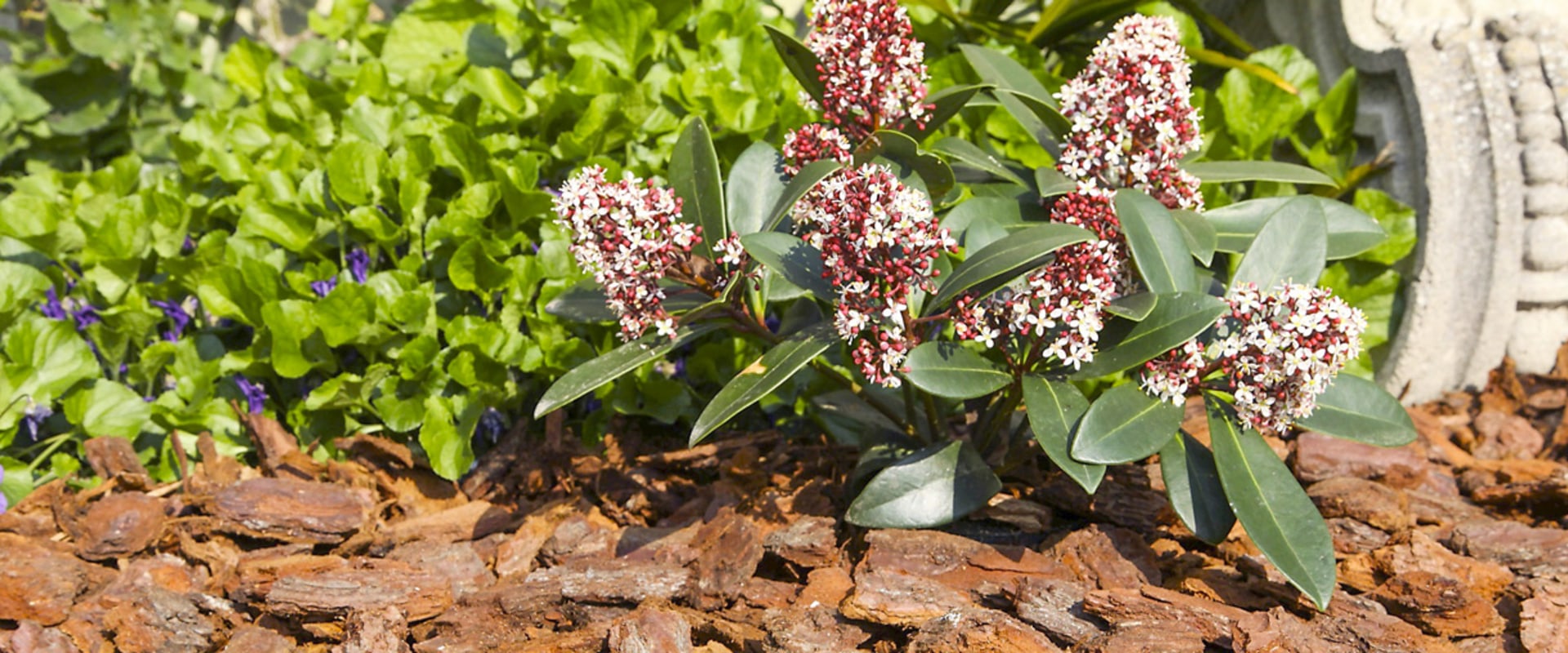 Utiliser du paillis pour lutter contre les mauvaises herbes