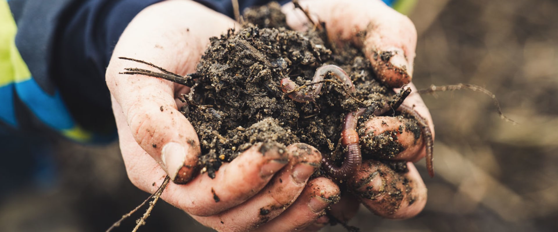 Matière organique : ajouter du compost à votre sol