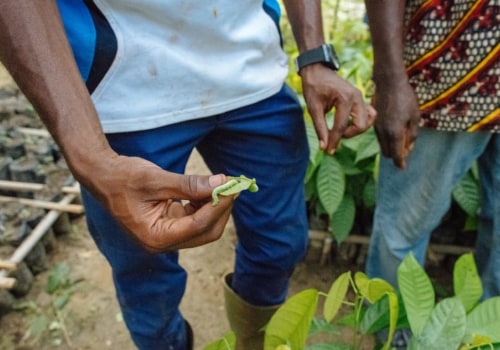 Utilisation de méthodes naturelles de lutte antiparasitaire