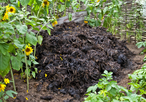 Engrais organiques pour jardins