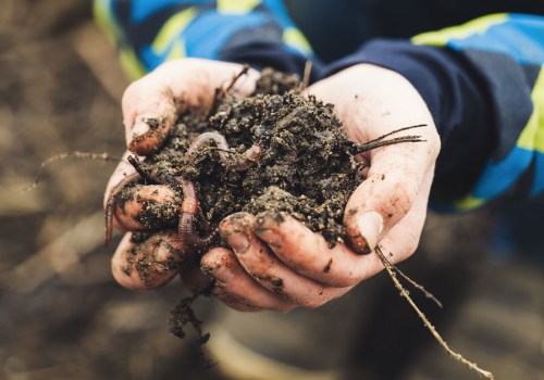 Matière organique : ajouter du compost à votre sol